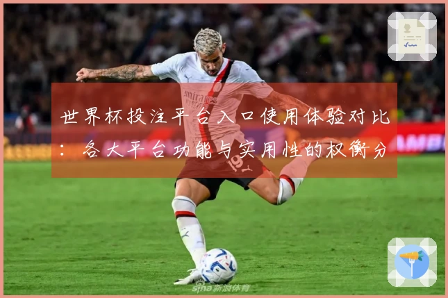 世界杯投注平台入口使用体验对比：各大平台功能与实用性的权衡分析