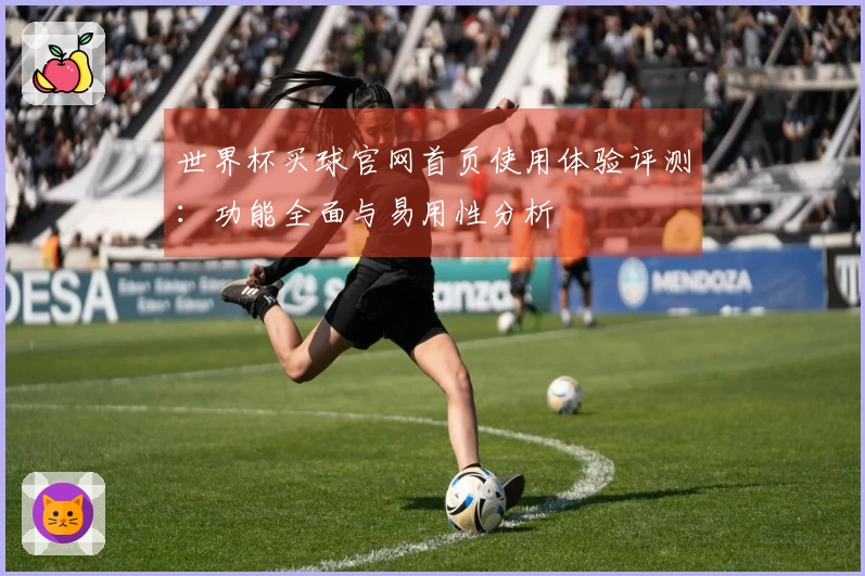 世界杯买球官网首页使用体验评测：功能全面与易用性分析