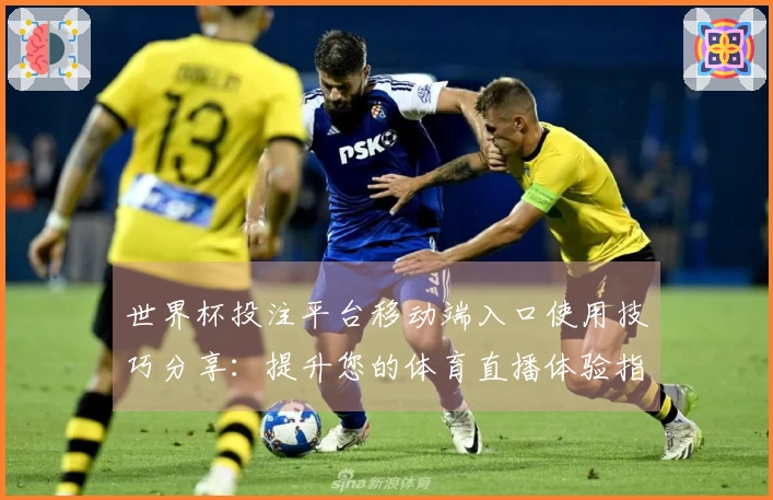 世界杯投注平台移动端入口使用技巧分享：提升您的体育直播体验指南