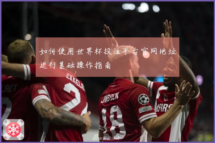 如何使用世界杯投注平台官网地址进行基础操作指南