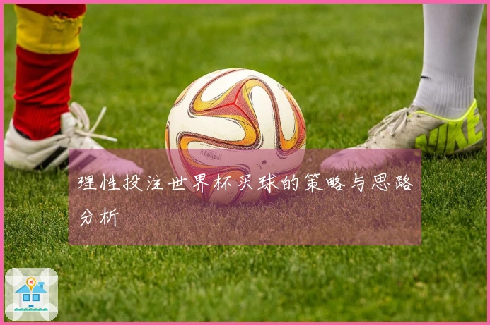 理性投注世界杯买球的策略与思路分析