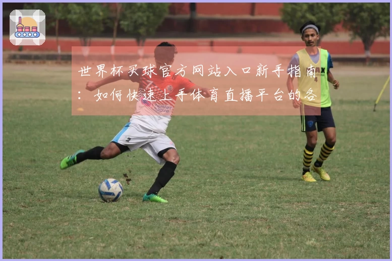 世界杯买球官方网站入口新手指南：如何快速上手体育直播平台的各项功能