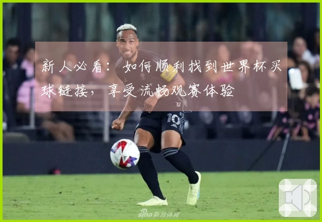 新人必看：如何顺利找到世界杯买球链接，享受流畅观赛体验