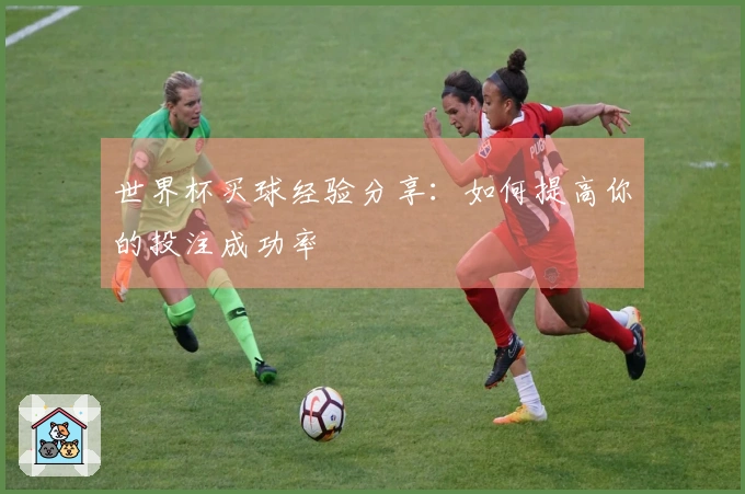 世界杯买球经验分享：如何提高你的投注成功率