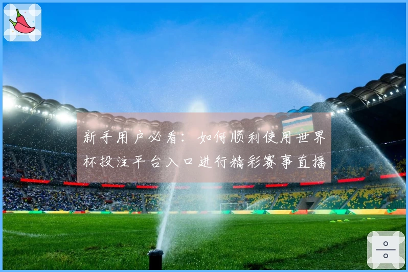新手用户必看：如何顺利使用世界杯投注平台入口进行精彩赛事直播