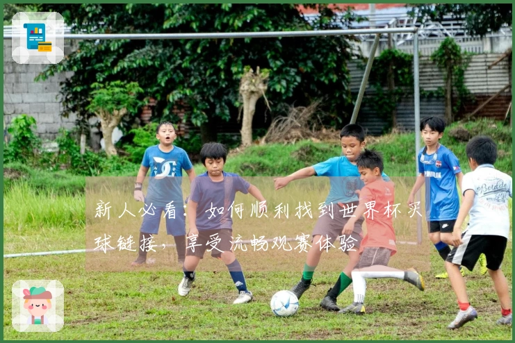 新人必看：如何顺利找到世界杯买球链接，享受流畅观赛体验