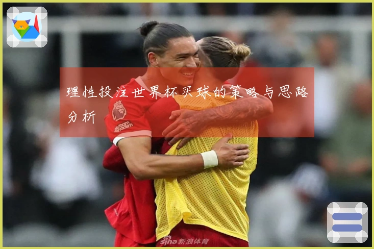 理性投注世界杯买球的策略与思路分析
