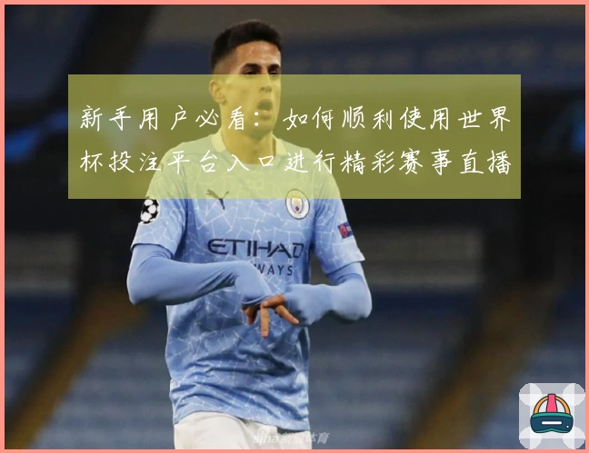 新手用户必看:如何顺利使用世界杯投注平台入口进行精彩赛事直播