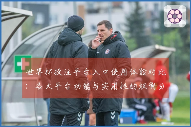 世界杯投注平台入口使用体验对比：各大平台功能与实用性的权衡分析